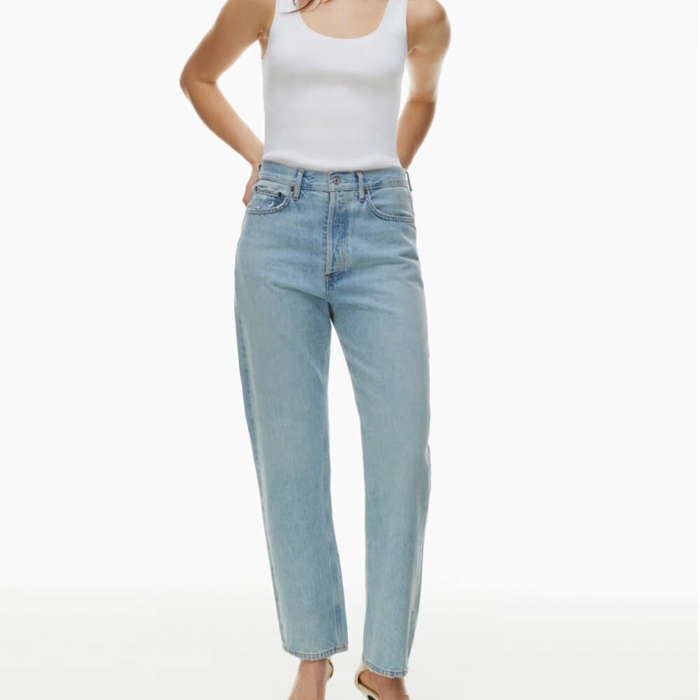 Agolde's 90's Jean in shade Snapshot